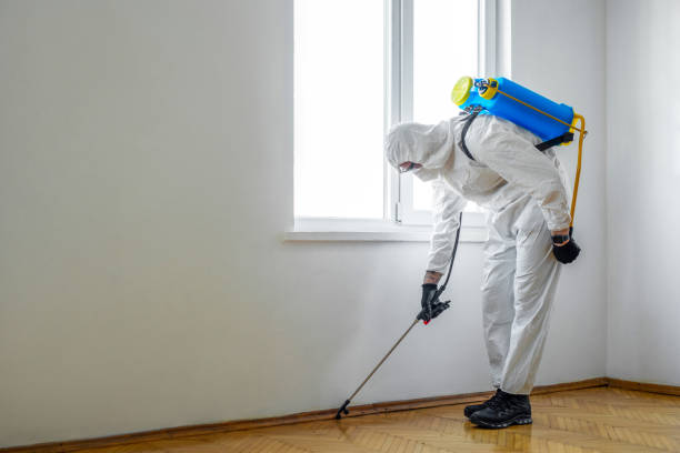 Best Pest Exclusion Services  in Brazoria, TX